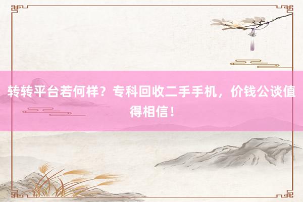 转转平台若何样？专科回收二手手机，价钱公谈值得相信！
